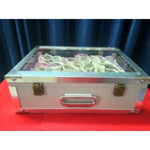 Glass Money Suitcase (4 times)