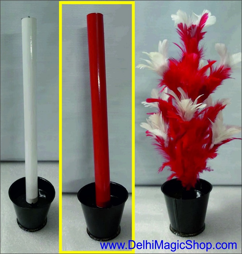 Manufacturer, Exporter, Importer, Supplier, Wholesaler, Retailer, Trader of Color Change Candle To Flower in New Delhi, Delhi, India.