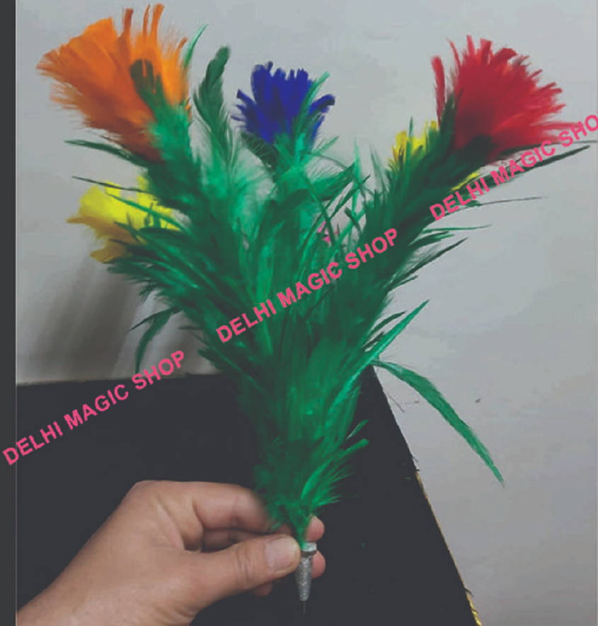 Manufacturer, Exporter, Importer, Supplier, Wholesaler, Retailer, Trader of Dart Flower Feather in New Delhi, Delhi, India.