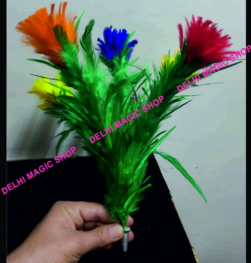 Manufacturer, Exporter, Importer, Supplier, Wholesaler, Retailer, Trader of Dart Flower Feather in New Delhi, Delhi, India.