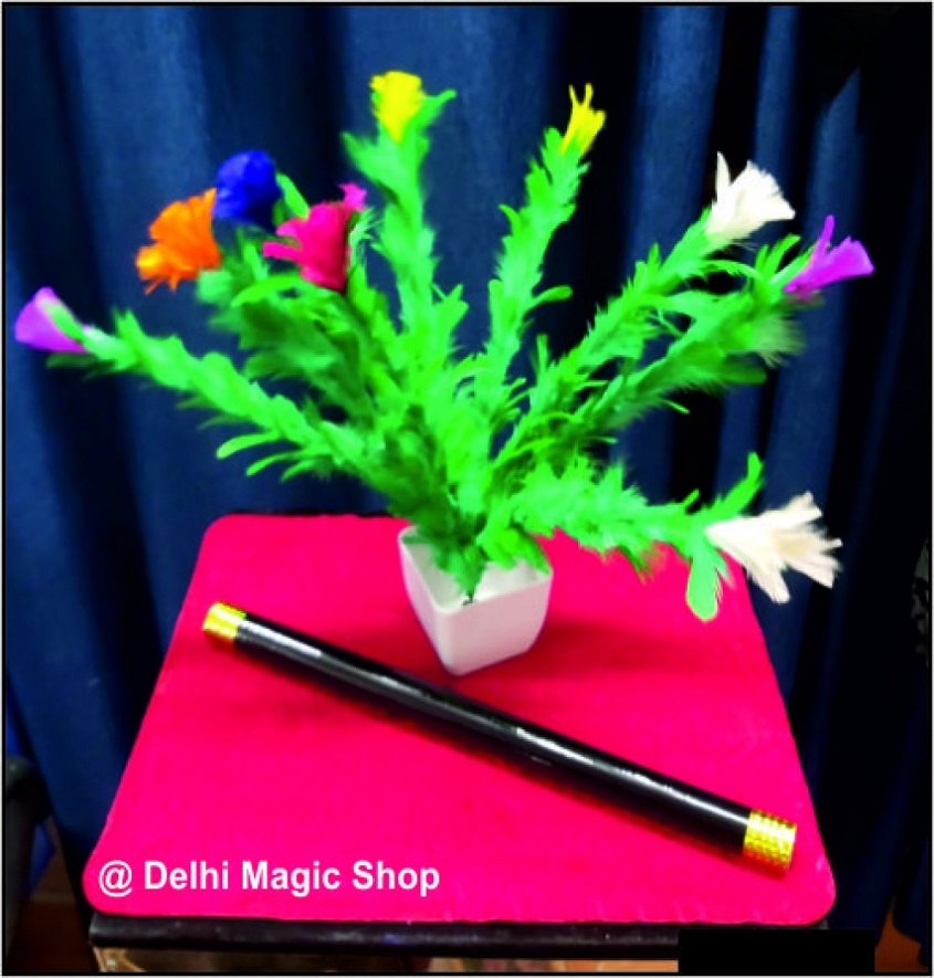 Manufacturer, Exporter, Importer, Supplier, Wholesaler, Retailer, Trader of Flower Appear Stick in New Delhi, Delhi, India.