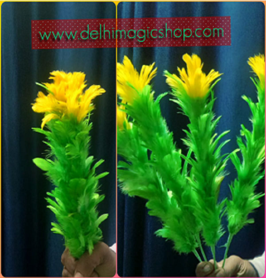 Manufacturer, Exporter, Importer, Supplier, Wholesaler, Retailer, Trader of Flower Multiply in New Delhi, Delhi, India.