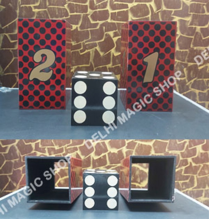 Manufacturer, Exporter, Importer, Supplier, Wholesaler, Retailer, Trader of Passa Passe Dice in New Delhi, Delhi, India.